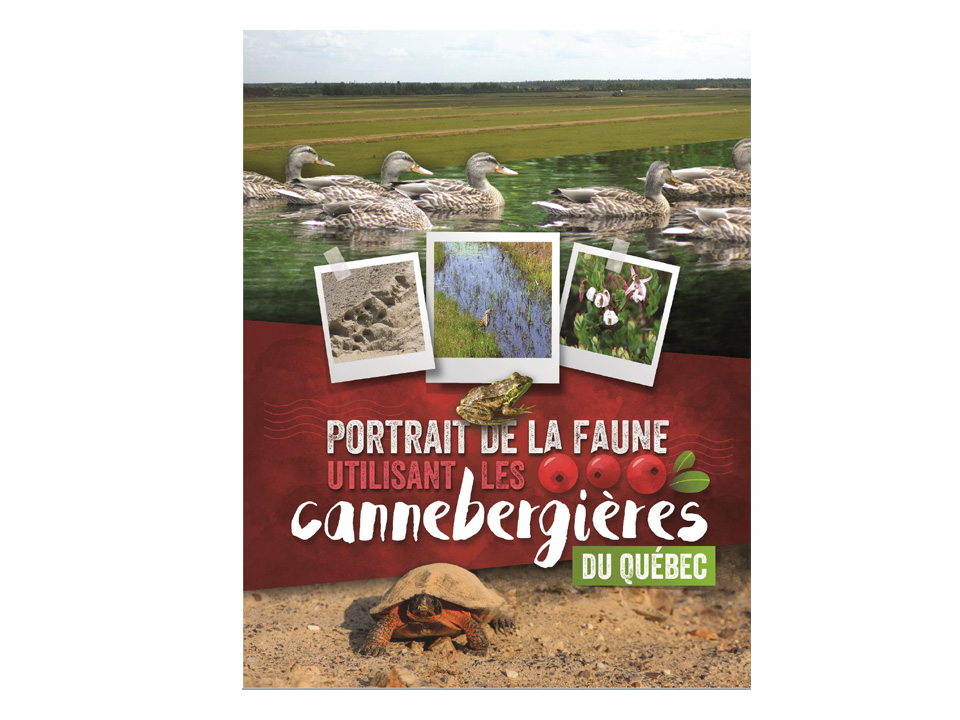 11-i-guide-etudes-portrait-faune-960x720