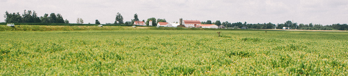 86-c-travaux-saison-ete-ferme-king-1180x260