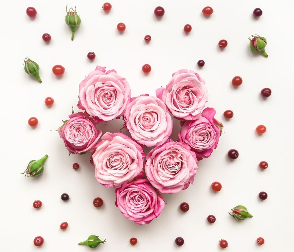 9-St-Valentin-960x822-rose-coeur-canneberge 9-St-Valentin-960x822-rose-coeur-canneberge