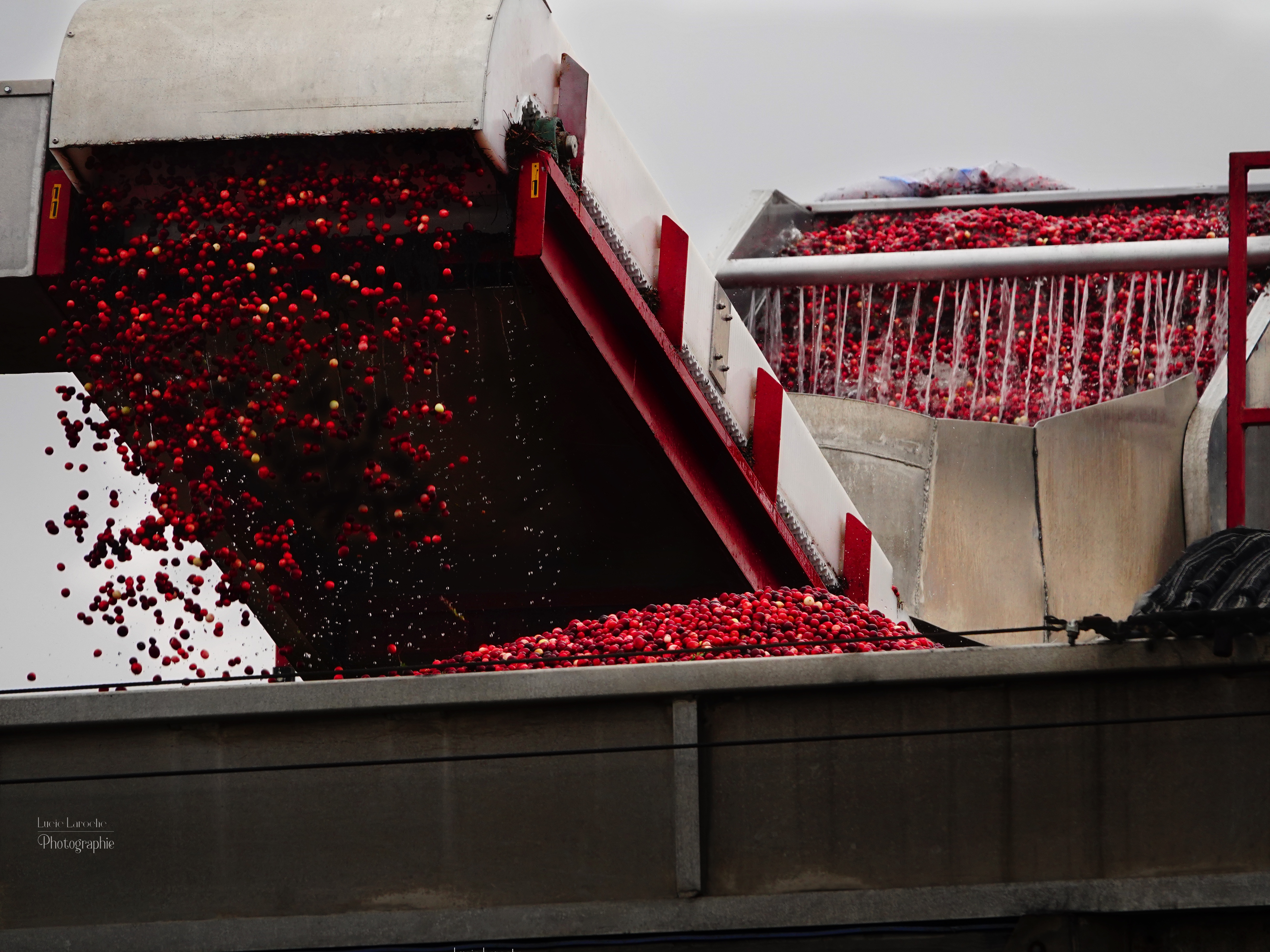 Photo_etude_impact_economique_2025 Photo_etude_impact_economique_2025